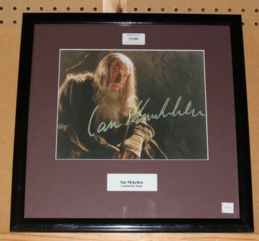 LOT 3199