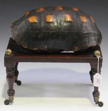 LOT 2547
