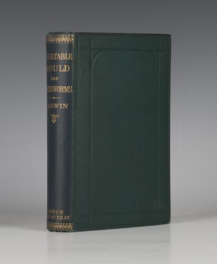 LOT 3002