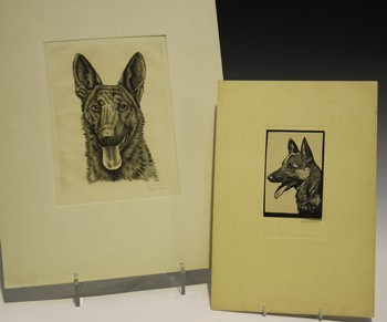 LOT 126
