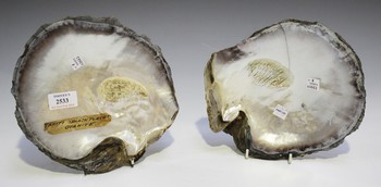LOT 2533