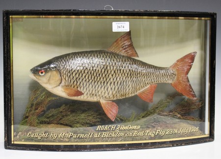 LOT 2674