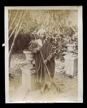 LOT 3186
