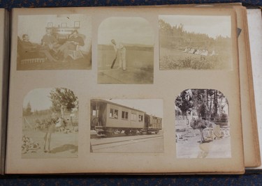 LOT 3187