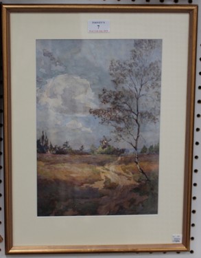 LOT 7