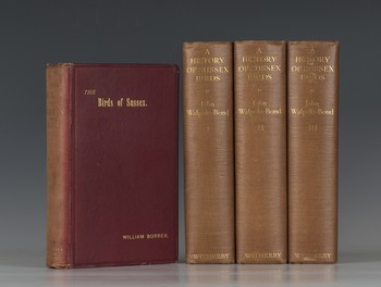 LOT 3016