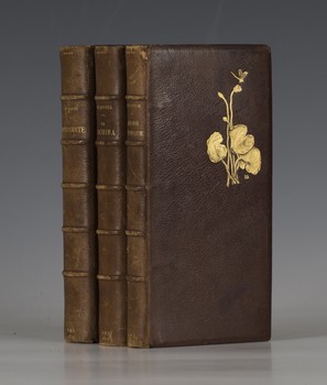 LOT 3051