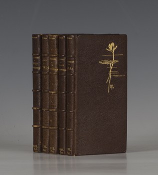 LOT 3054