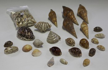 LOT 852