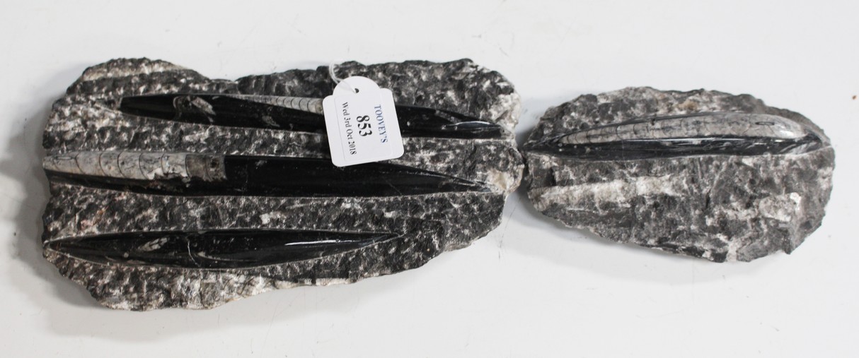 LOT 853