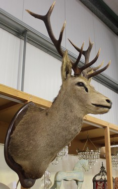 LOT 2645