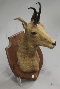 LOT 2647