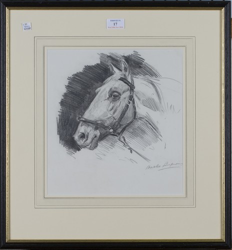 LOT 17