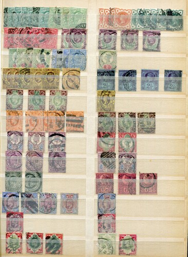 LOT 3029