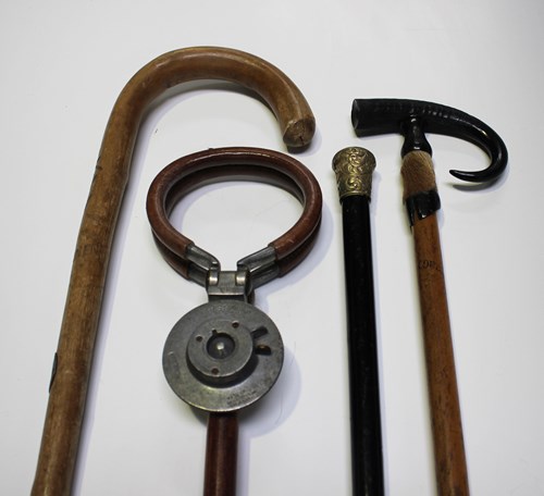 LOT 2551