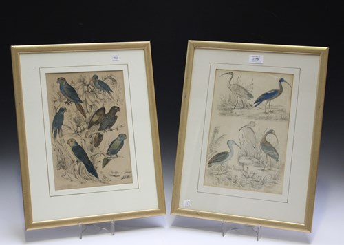 LOT 2558