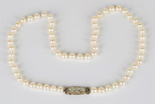 LOT 633