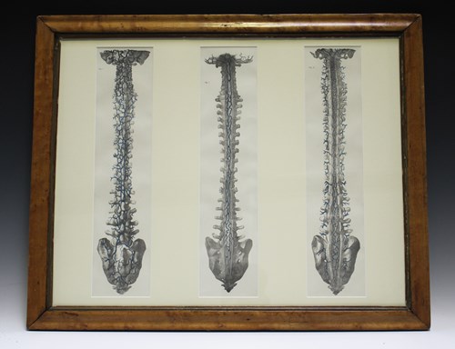 LOT 2511