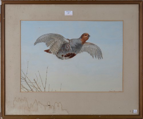 LOT 17