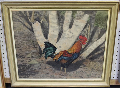LOT 52