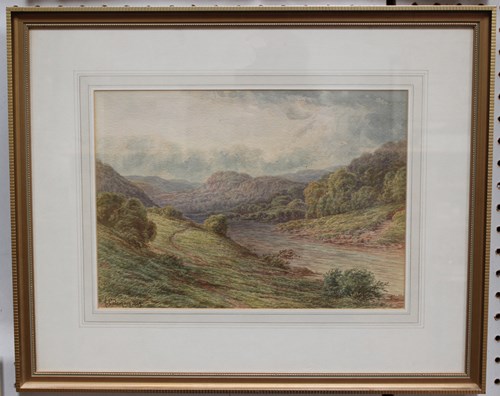 LOT 55