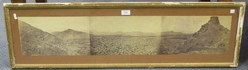 LOT 3249