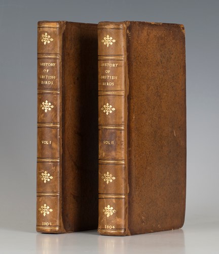 LOT 3186