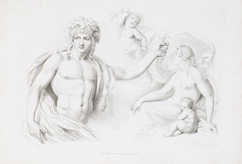 LOT 3230