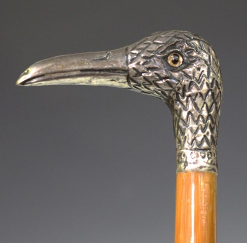 LOT 2554