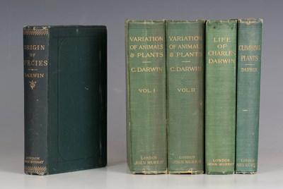 LOT 3171