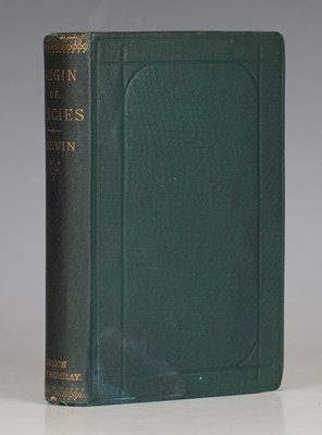 LOT 3172