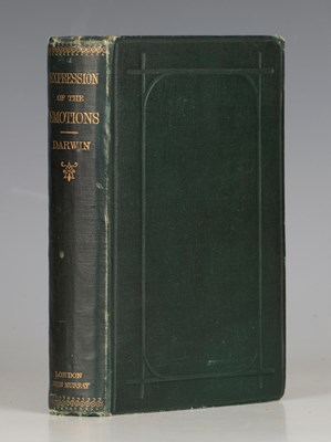 LOT 3173