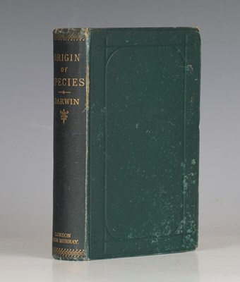 LOT 3174