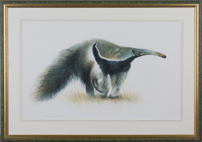 LOT 4