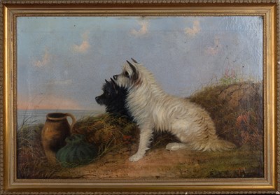 LOT 73