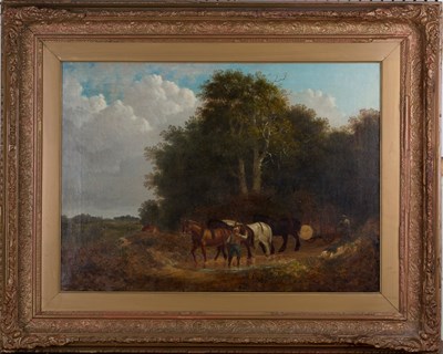 LOT 81