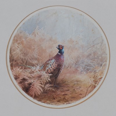 LOT 105