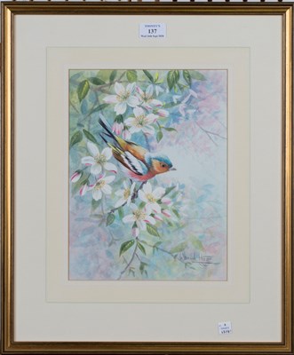 LOT 137