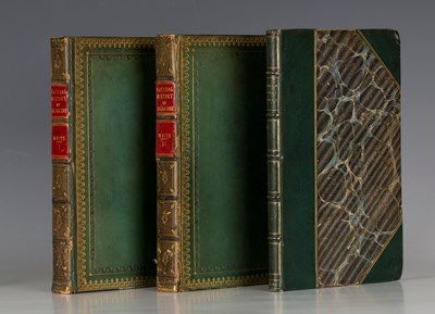 LOT 3137