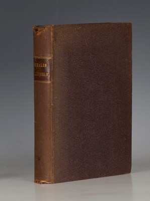 LOT 3151