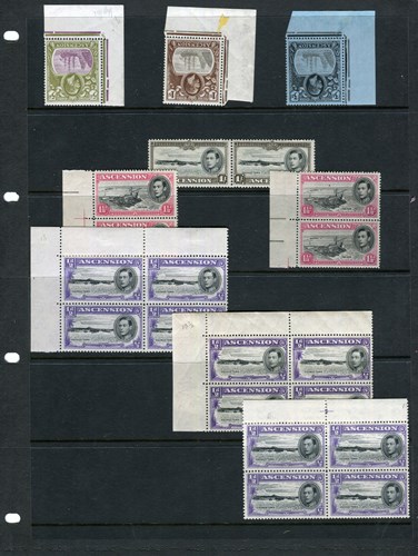 LOT 3037