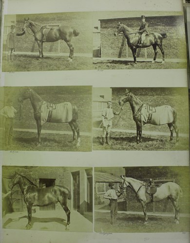 LOT 3336