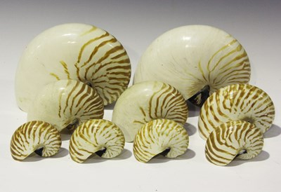 LOT 2578