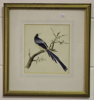 LOT 1237
