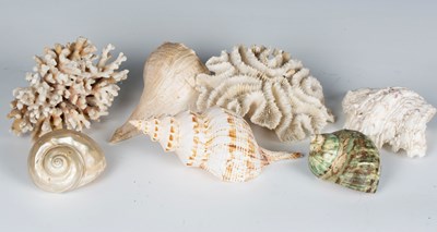 LOT 2581
