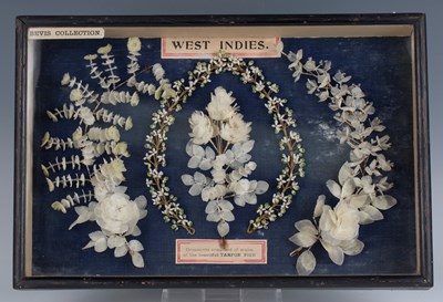 LOT 2629