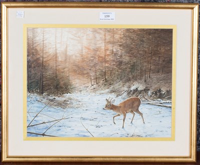 LOT 159