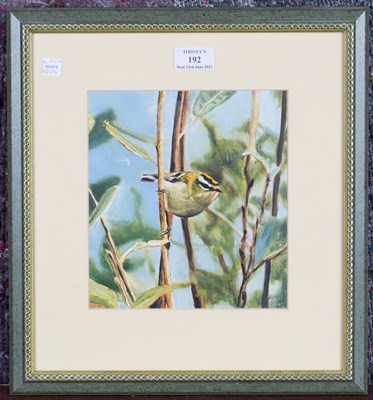 LOT 192