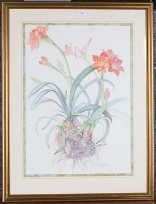 LOT 209