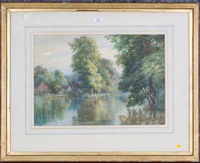 LOT 264